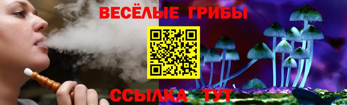 Галлюциногенные грибы Cubensis  Вход с VPN  Псилоцибиновые грибы GOLDEN TEACHER  Миасс 